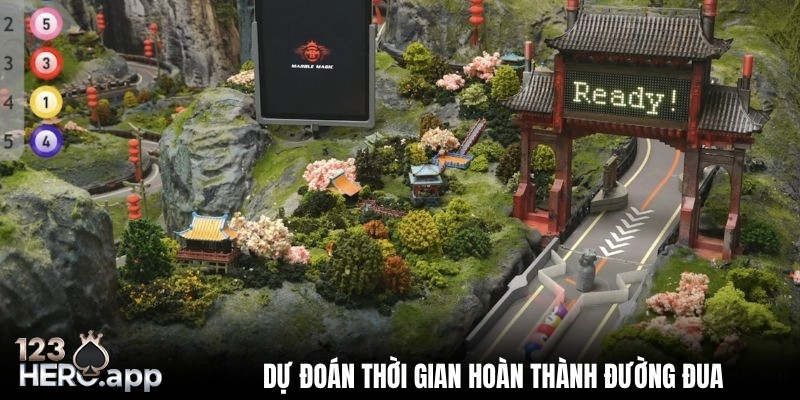 dat cuoc du doan thoi gian ket thuc