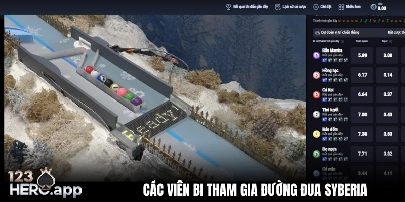 Đường đua đồng băng Syberia có 8 bi tham gia tại 123hero