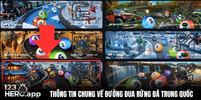 tong quan ve dua bi rung da trung quoc